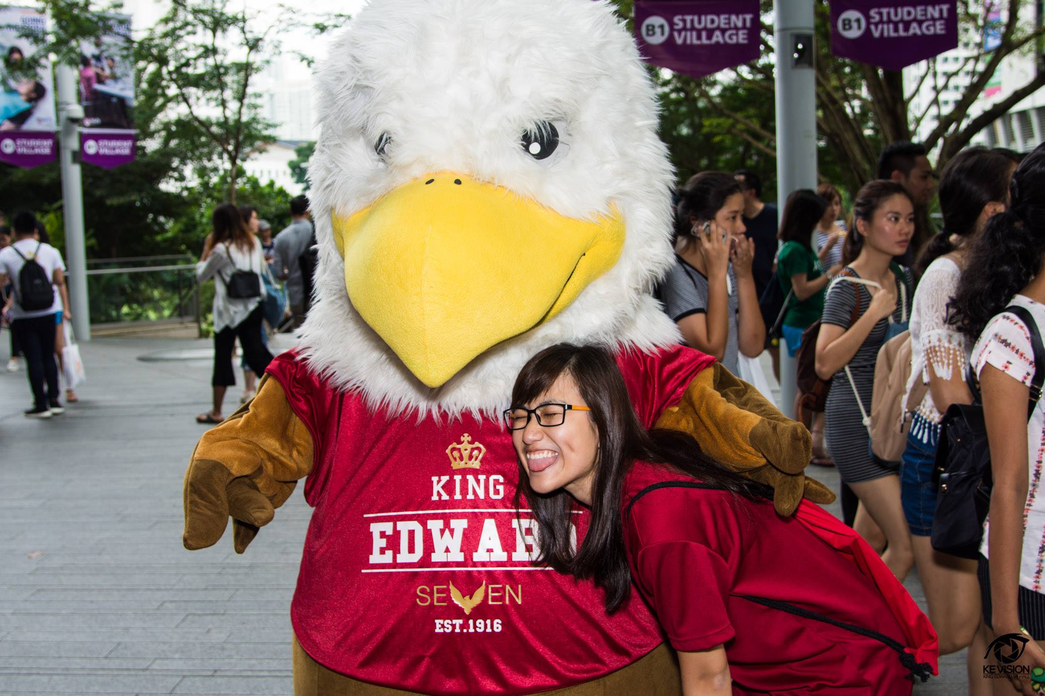 17359082_434030073612806_1044181066240932421_o